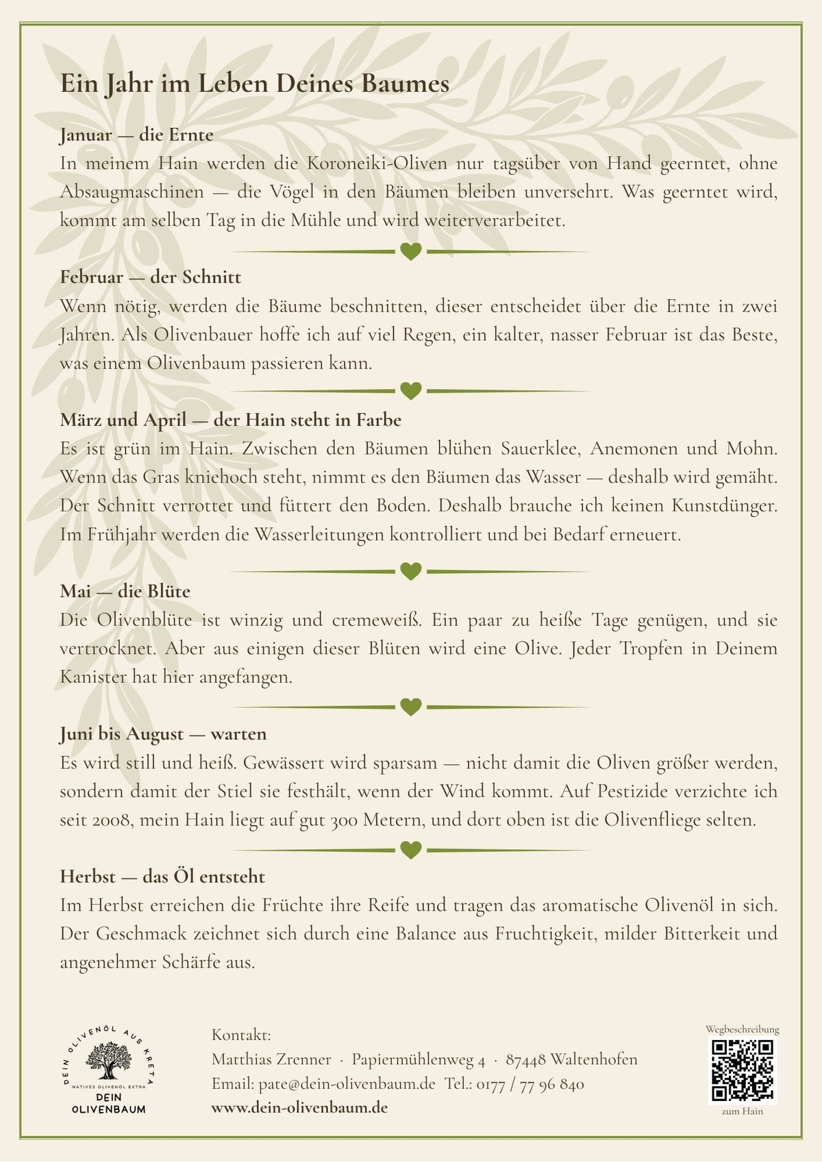 Jahres-Patenschaft für einen Olivenbaum mit 10 Litern Olivenöl aus der Ernte Januar 2026